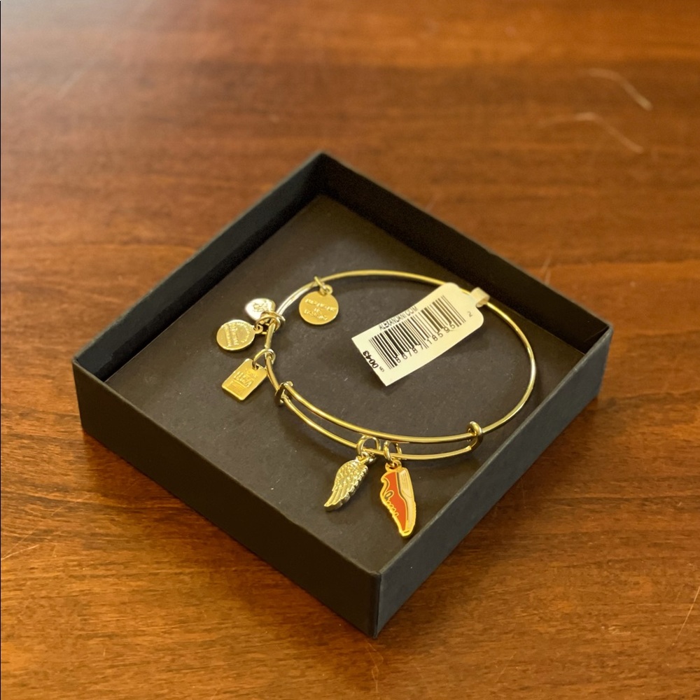Brand new Team USA Track + Field Duo Charm Alex and Ani Bangle